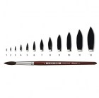 Pelikan S25 all1